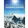 Auditing and Assurance Services (Lydbog, CD, 2013)