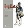 Big Data: Principles and Best Practices of Scalable Realtime Data Systems (Häftad, 2015)