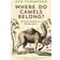 Where Do Camels Belong? (Häftad, 2015)
