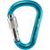Salewa HMS Screw G2 karabiner Blauw