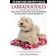 Labradoodles - The Owners Guide from Puppy to Old Age for Your American, British or Australian Labradoodle Dog (Häftad, 2015)