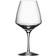 Orrefors Pulse Copa de Vino 46cl 4pcs