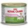 Royal Canin Starter Mousse 0.2kg