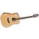 Takamine GD20-NS