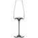 Zieher Vision Rich Wine Glass 28cl 2pcs