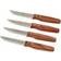 Opinel Bon Appetit Knife Set