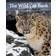 The Wild Cat Book (Inbunden, 2014)