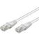 QBULK Cat5e U/UTP RJ45 - RJ45 M-M