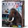 4M Mammut Skelet