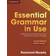 Essential Grammar in Use Without Answers: A Reference and Practice Book for Elementary Learners of English (Häftad, 2015)