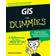 GIS for Dummies (Häftad, 2009)