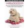 Labradoodles - The Owners Guide from Puppy to Old Age for Your American, British or Australian Labradoodle Dog (Häftad, 2015)