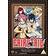 Fairy Tail - Collection Two (DVD)