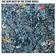 The Stone Roses Very Best Of (2 LP) (Vinyle)