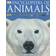 encyclopedia of animals (Copertina flessibile, 2006)