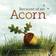 Because of an Acorn (Hardcover, 2016)