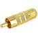 StarTech Gold Adapter 1RCA - F-Contact