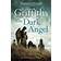 The Dark Angel: The Sunday Times Bestseller (The Dr Ruth Galloway Mysteries)