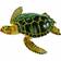 Safari Green Sea Turtle 274329