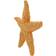 Safari Orange Starfish 276829