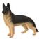 Safari German Shepherd 251729