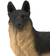 Safari German Shepherd 251729