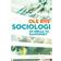 Sociologi - en nøgle til samfundet: en nøgle til samfundet (Hæftet, 2017)
