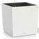 Clarius Cube Cottage Krukke