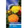 Suttons Marigold African Seeds - Fantastic Mix 100 Seeds Pack