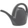 EMSA Oase Watering Can