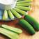 Suttons Cucumber Seeds - F1 Baby 6 Seeds Pack