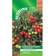 Suttons Tomato Seeds - Tumbling Tom Red 22 Seeds Pack