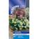 Suttons Alyssum Seeds - Wandering Star Mix 250 Seeds Pack