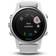 Garmin Fenix 5S