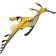 Safari Weedy Seadragon XL 252629