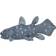 Safari Coelacanth 285729