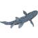 Safari Coelacanth 285729