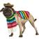 Rubies Pet Mexican Serape Costume