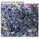 The Stone Roses Very Best Of (2 LP) (Vinyle)