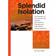 Splendid Isolation: The eruption of the Laacher See volcano and southern Scandinavian Late Glacial hunter-gatherers (E-bog, 2017)