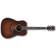 Ibanez AVD10