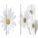 vidaXL Flower Rumdeler 200x170cm