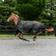 Horze Avalanche 1200D