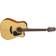 Takamine GD10CE