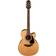 Takamine GD10CE