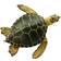 Safari Green Sea Turtle 274329