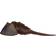 Safari Horseshoe Crab XL