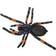 Safari Orange Kneed Tarantula XL 542006