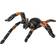 Safari Orange Kneed Tarantula XL 542006