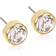 Blomdahl Bezel Earrings - Gold/Transparent